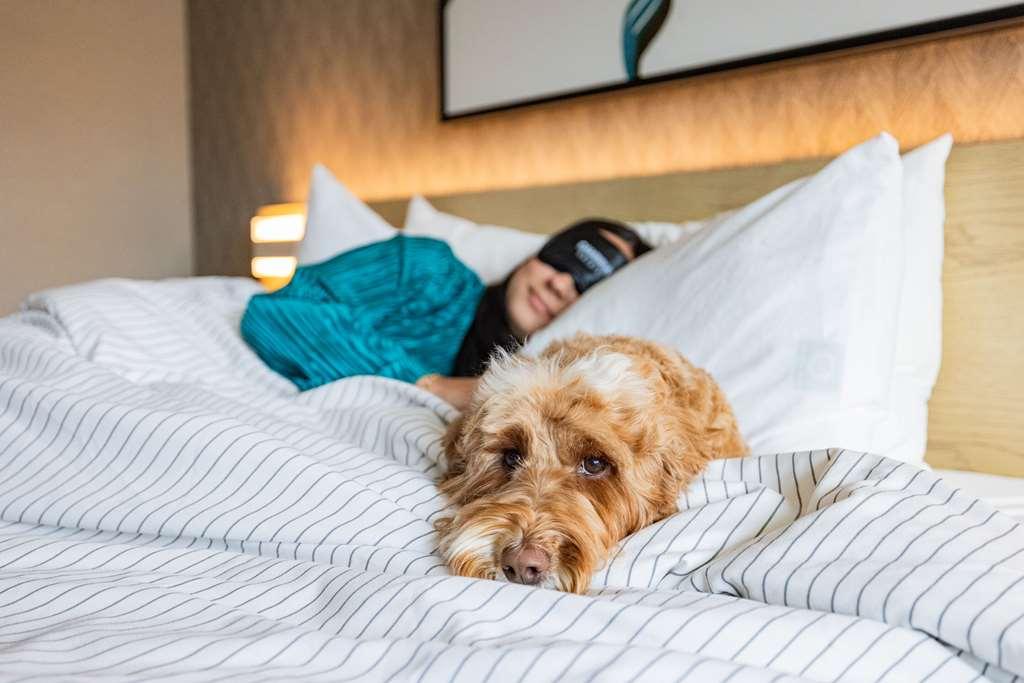 Cambria Hotel Burbank Airport Стая снимка